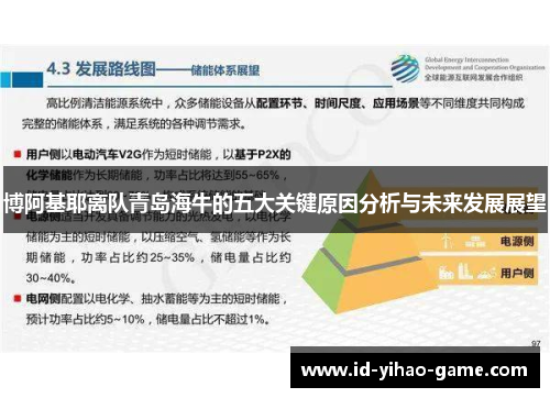 博阿基耶离队青岛海牛的五大关键原因分析与未来发展展望